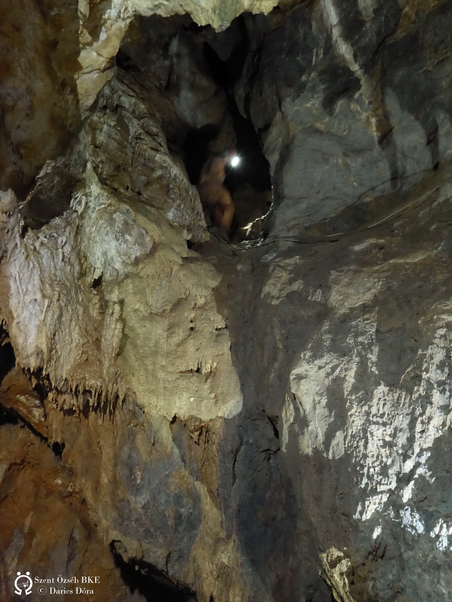 Fekete-barlang, rossz irányba felmászva útban a Mocsár-terem felé