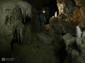 Fekete-barlang, Mocsár terem világos előtérrel