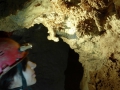 Fekete-barlang, csillagszóró-cseppkő a Torda István emléktábla közelében