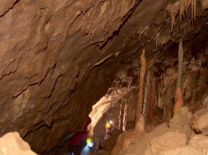 A Liánok-terme, ahol a barlang legszebb cseppkőképződményei állnak.