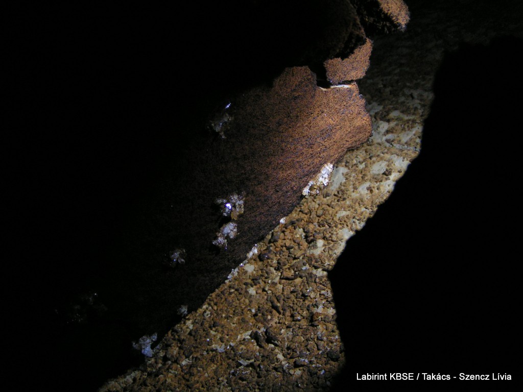 MINOLTA DIGITAL CAMERA