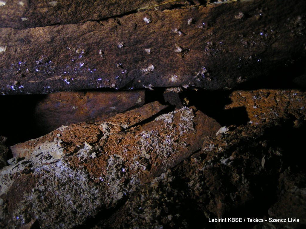 MINOLTA DIGITAL CAMERA