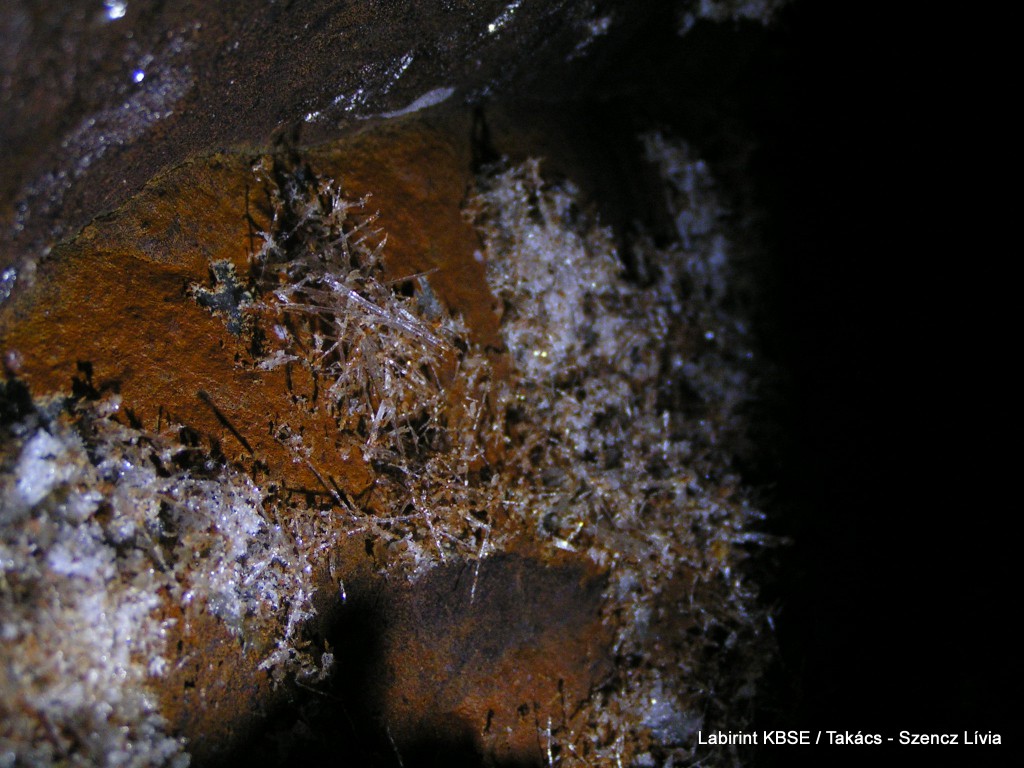 MINOLTA DIGITAL CAMERA