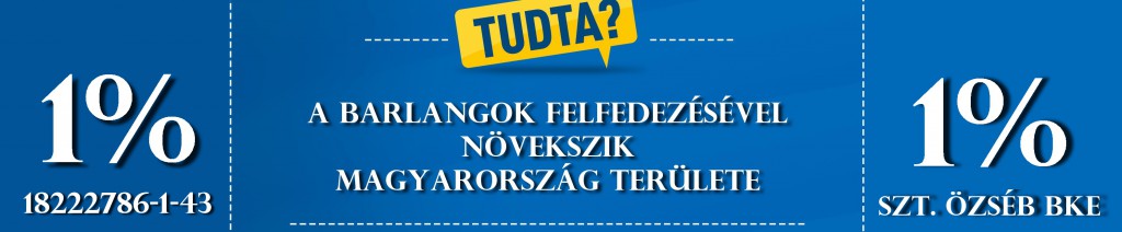 tudta 1sz csik