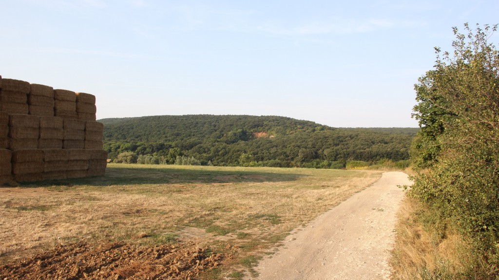 A szóban forgó kőfejtő látképe Pilisszántó felől, a lovarda melletti mezőről
